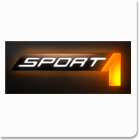 sport-1_02