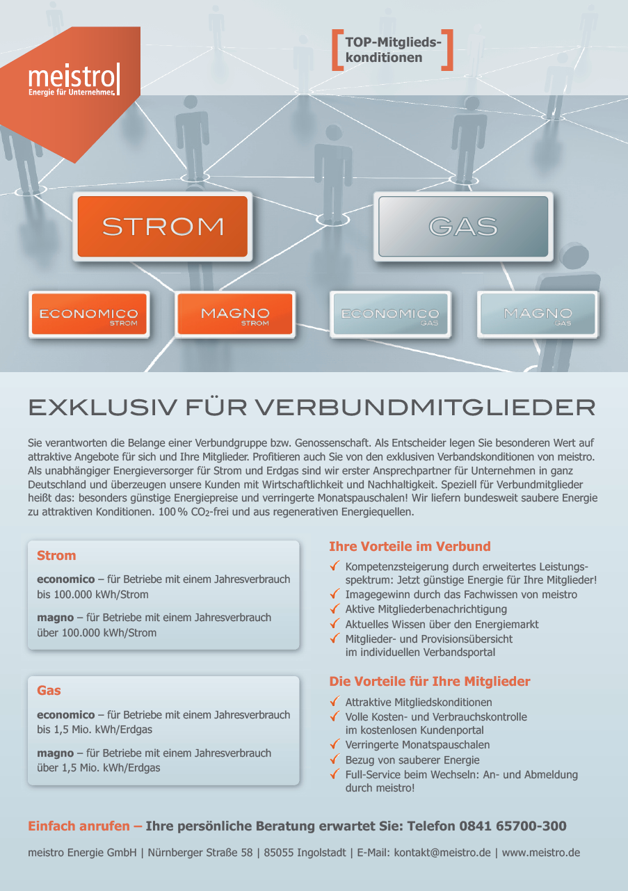 Das-Angebot-von-meistro-Energie_2012