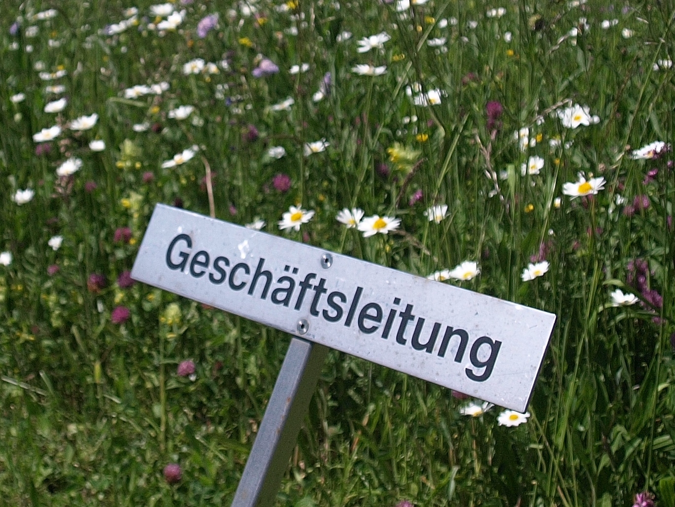 Chefsache-Biologische-Vielfalt